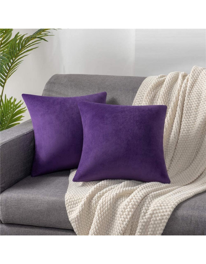 18x18 Throw Pillow Cases Purple: 2 Pack Cozy Soft Velvet Square Decorative Pillow Covers for Farmhouse Home Decor DEZENE