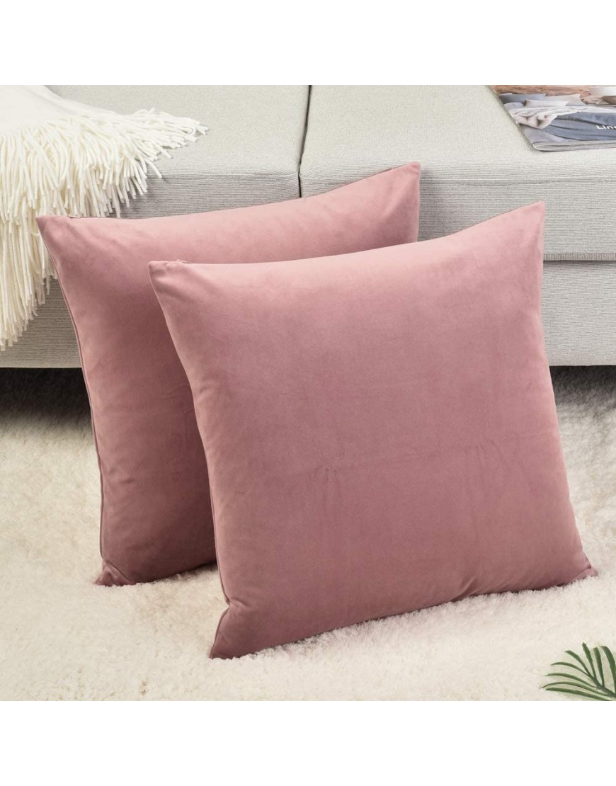 Rythome Set of 2 Comfortable Throw Pillow Cover for Bedding Decorative Accent Cushion Sham Case for Couch Sofa Soft Solid Velvet with Zipper Hidden 16x16 Mauve Pink