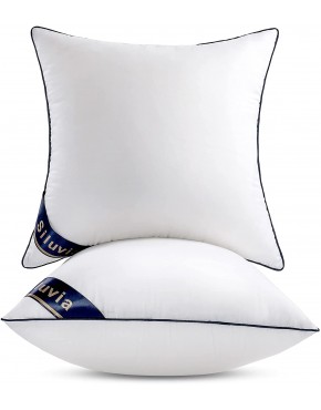 Siluvia 20"x20" Pillow Inserts Set of 2 Decorative 20" Pillow Inserts-Square Interior Sofa Throw Pillow Inserts Decorative White Pillow Insert Pair Couch Pillow 2 20"x20" ,2Pack