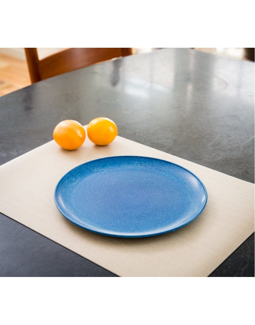 EVO Sustainable Goods 10 Plate Set of Four Blue