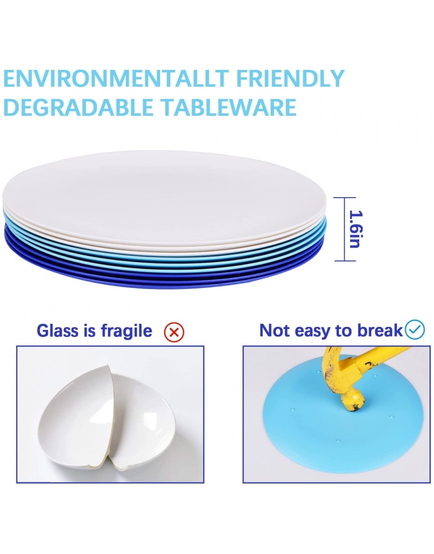 Fulong Dishware 10Inch Plastic Plates for Home School Reusable Dinner Plates for camping outdoor Round Big Dinner Plate set 9
