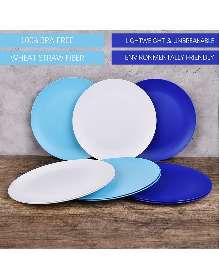 Fulong Dishware 10Inch Plastic Plates for Home School Reusable Dinner Plates for camping outdoor Round Big Dinner Plate set 9