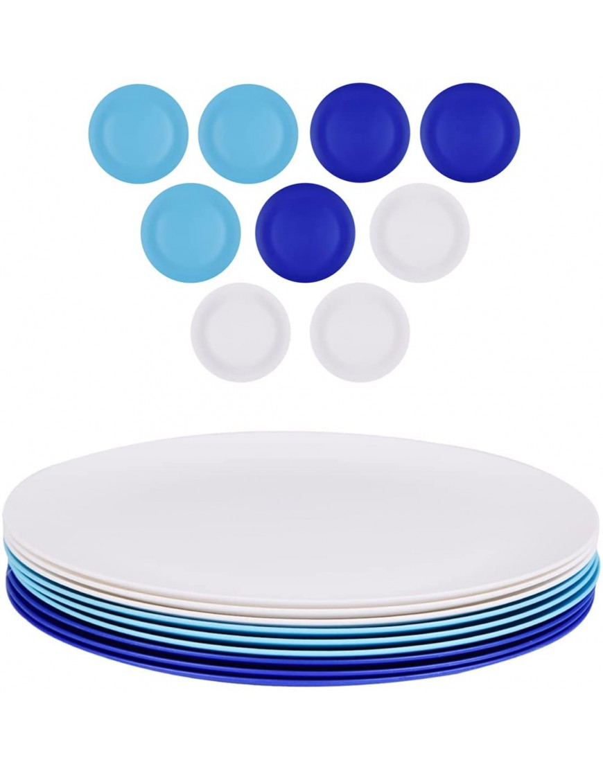 Fulong Dishware 10Inch Plastic Plates for Home School  Reusable Dinner Plates for camping outdoor  Round Big Dinner Plate set 9
