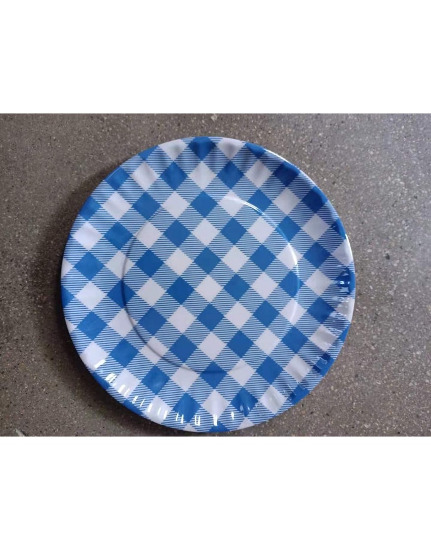 Reusable Blue & White Gingham Checkered Picnic Dinner Plate 9 Inch Melamine Set of 5