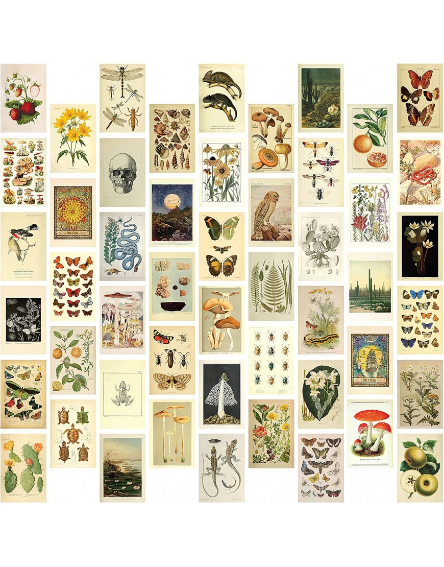 50 Mini Botanical Cottagecore Collage Art Posters 4” x 6” Vintage Aesthetic Wall Collage Kit for Trendy Photo Wall College Dorm Room Decor Cottagecore Decor Teen Room Boho Decor Bedroom Wall Art for Girls includes Vintage Botanical Art Prints Butterfly Wa