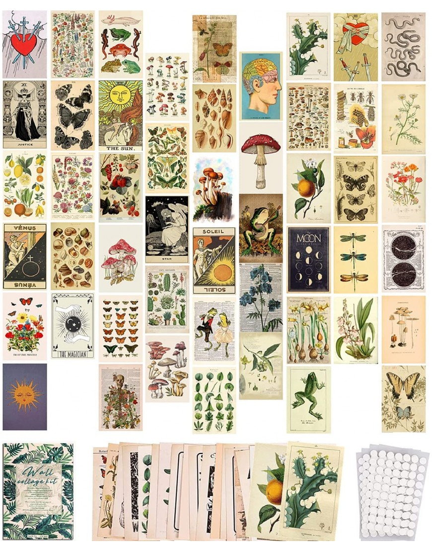 50PCS Vintage Botanical Illustration Tarot Aesthetic Pictures Wall Collage Kit Trendy Small Poster for Dorm Vintage Style Art Print Photo Collection