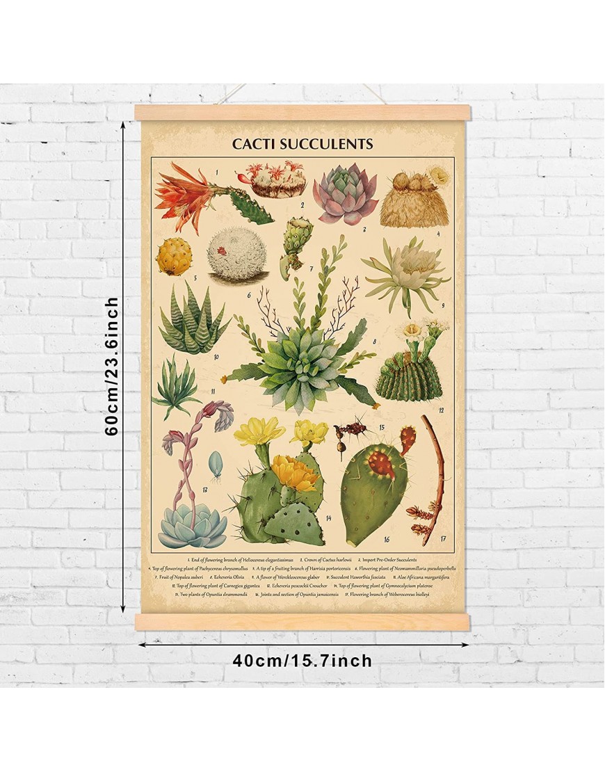 Vintage Cacti Succulents Poster Cactus Wall Art Prints Rustic Cactus Hanging Wall Decor Hanging Canvas Frame Wall Poster for Living Room Office Classroom Bedroom Dining Room Decor 15.7 x 23.6 Inch