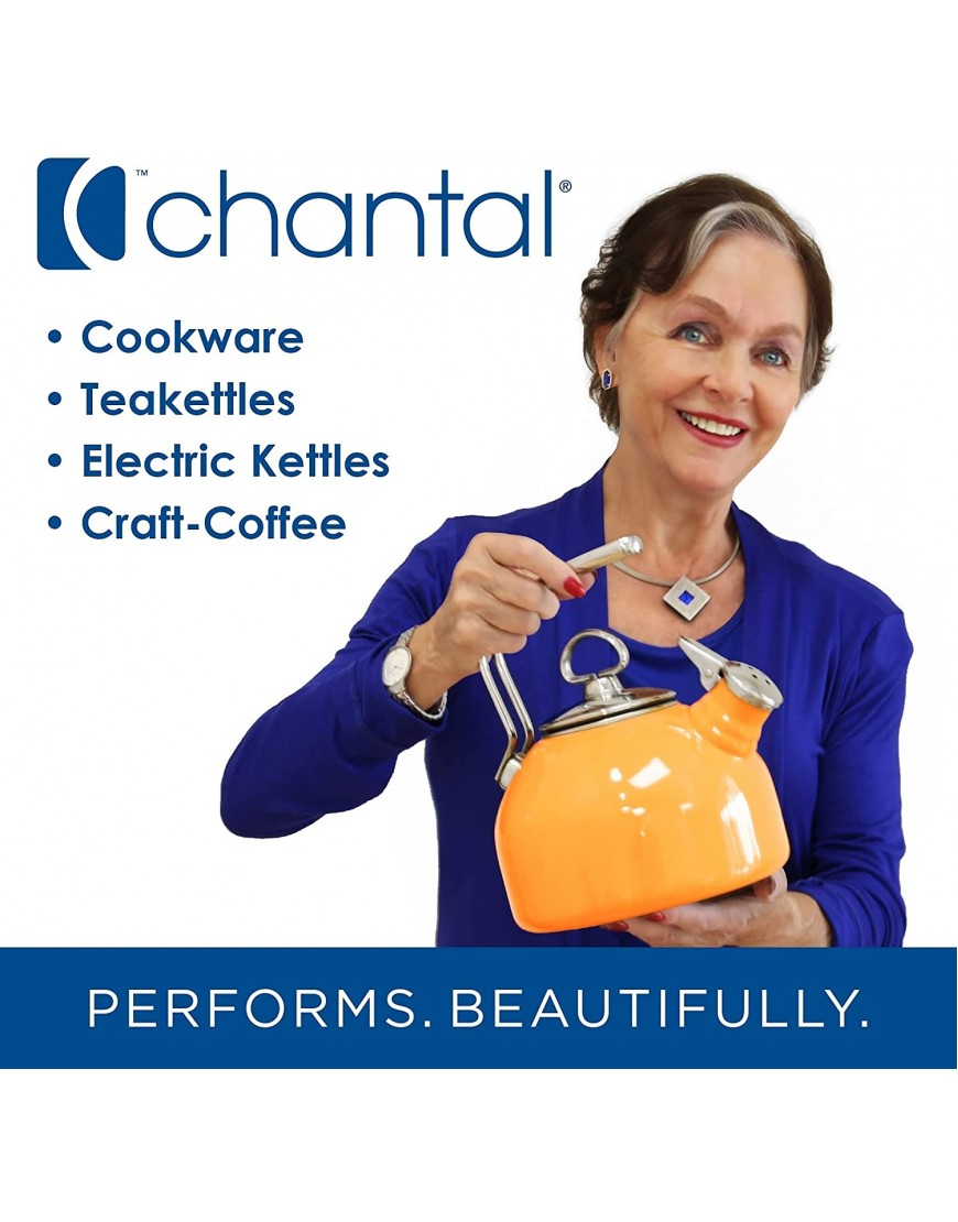 Chantal Anniversary Enamel on Steel Whistling Tea Kettle 2 quart Sage Green