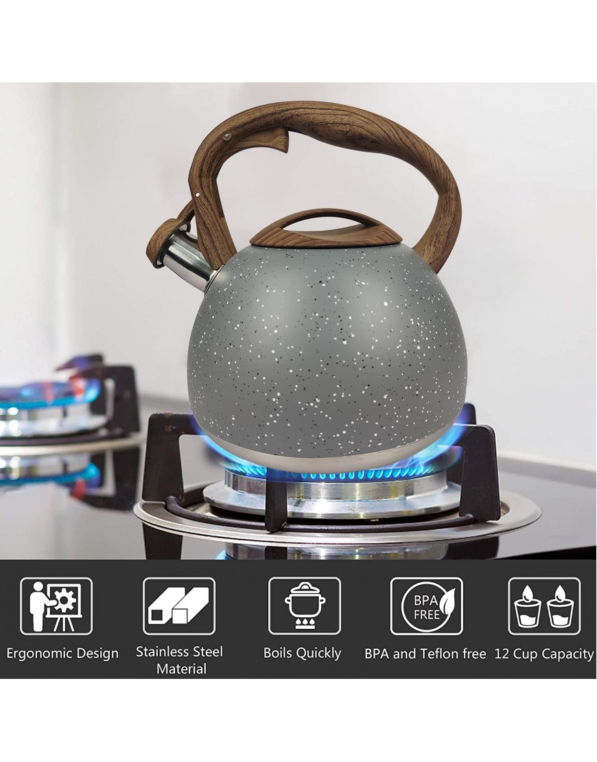 Lesirit Tea Kettle For Stove Top Heat Quickly Teapot with Anti-Hot Handle and Anti-Rust Food Grade Stainless Steel Boil Fast Teakettle for All Stovetops 3.2 Quart Grey-A