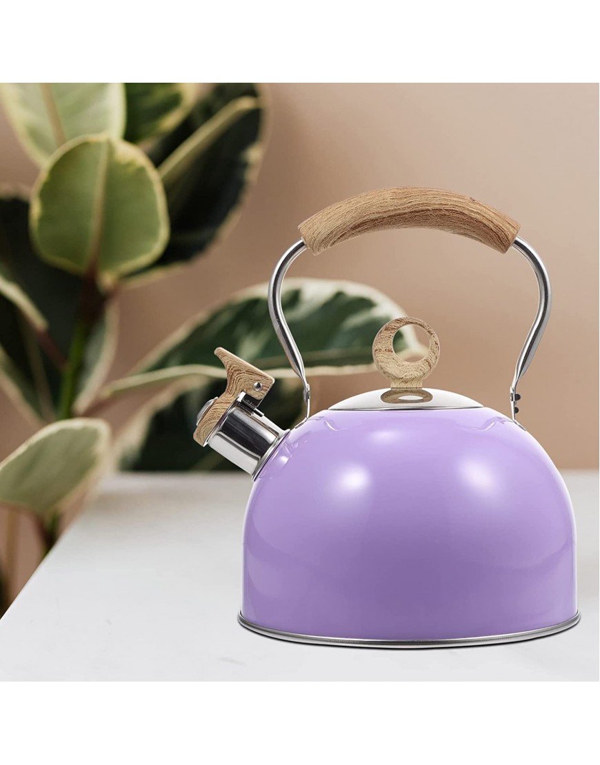 Luxshiny Whistling Tea Kettle Stainless Steel Kettle Water Boiling Kettle Practical Water Kettle