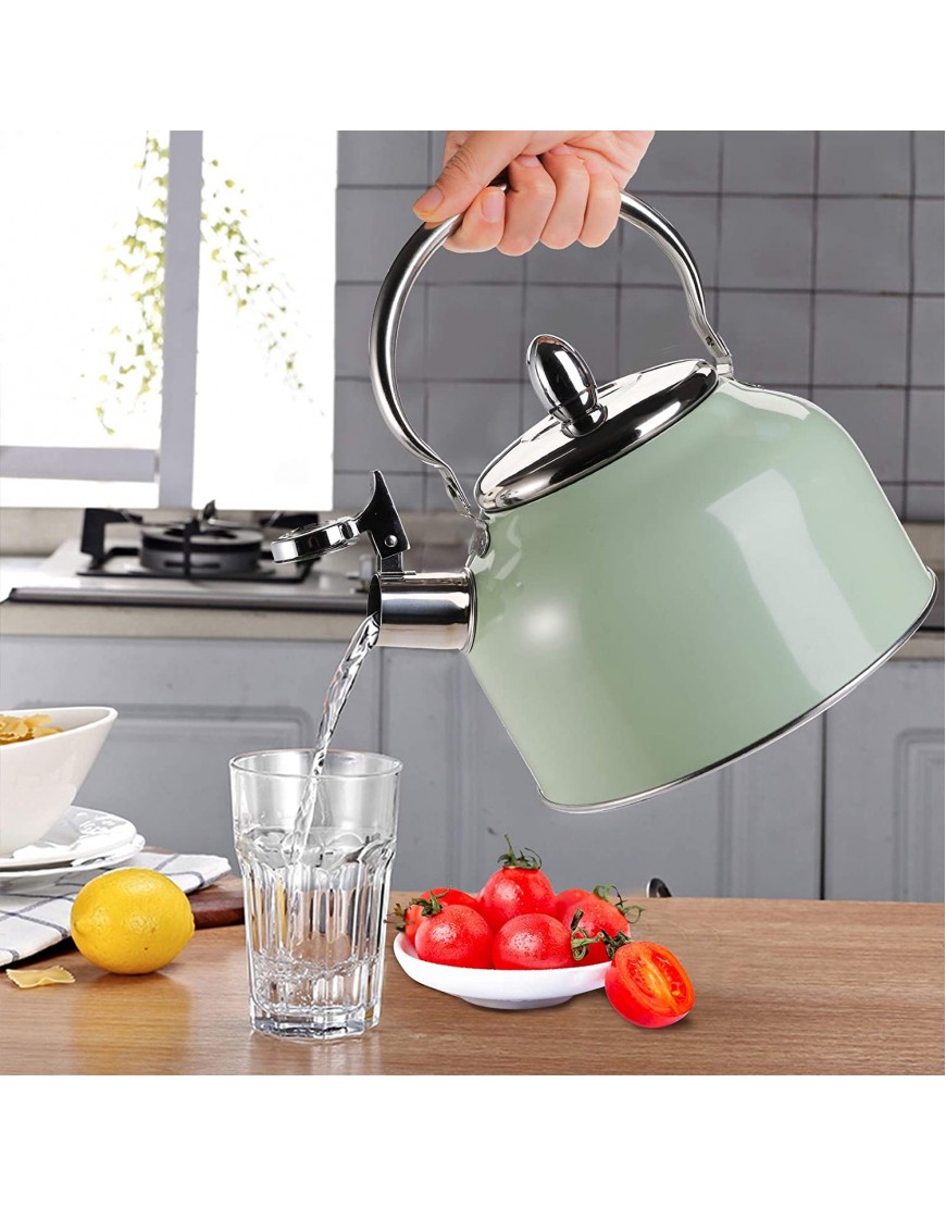 TOPZEA Tea Kettle with Handle 3.2 Quart Stainless Steel Whistling Teapot Stove Top Tea Kettle for Heating Water Fast Boiling Water Teakettle Green 3L