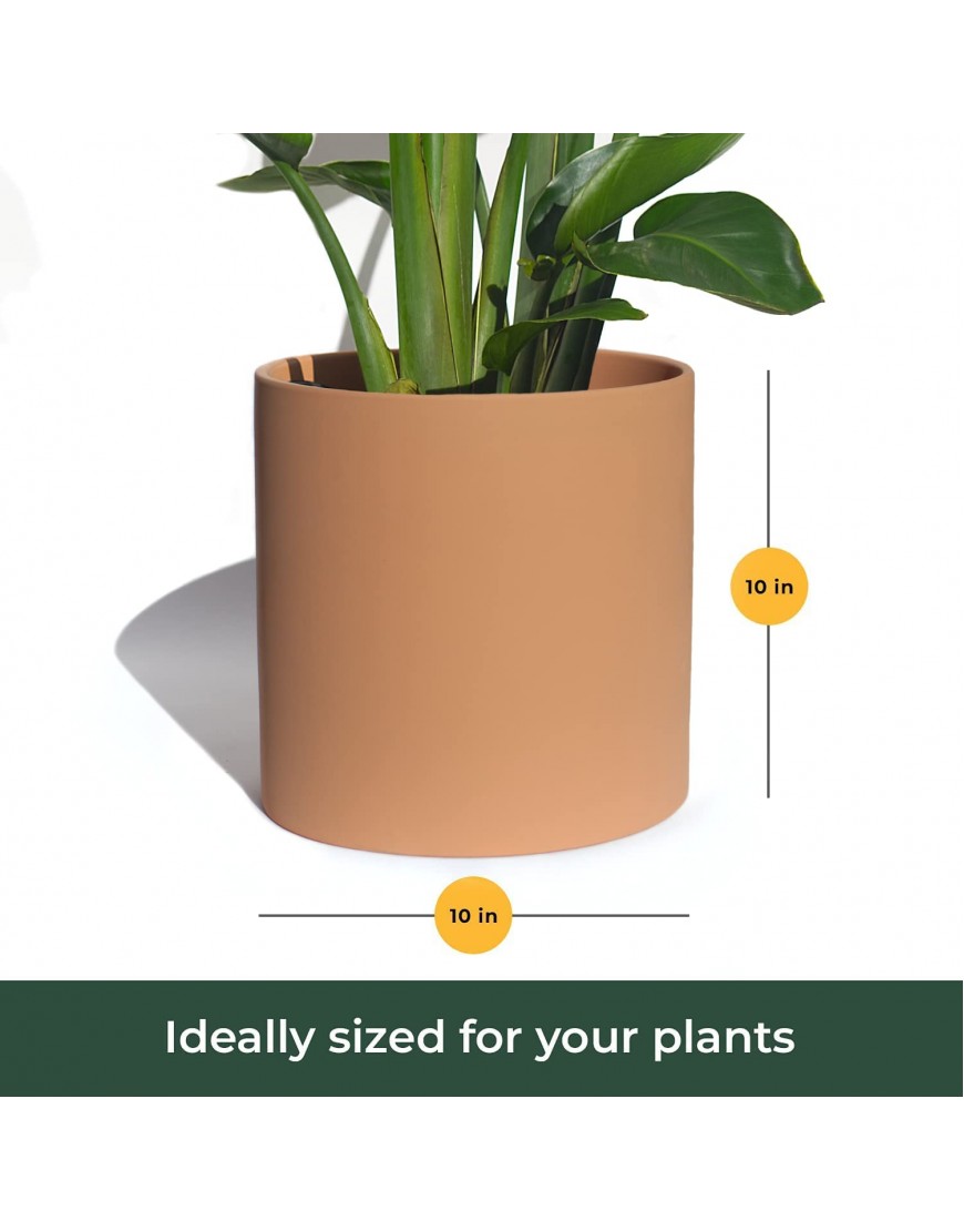 Bees & Buds Large Terracotta 10 inch Planter Terra Cotta Clay Plant Pot Clay Pots with Drainage Indoor Outdoor Planters for Plants