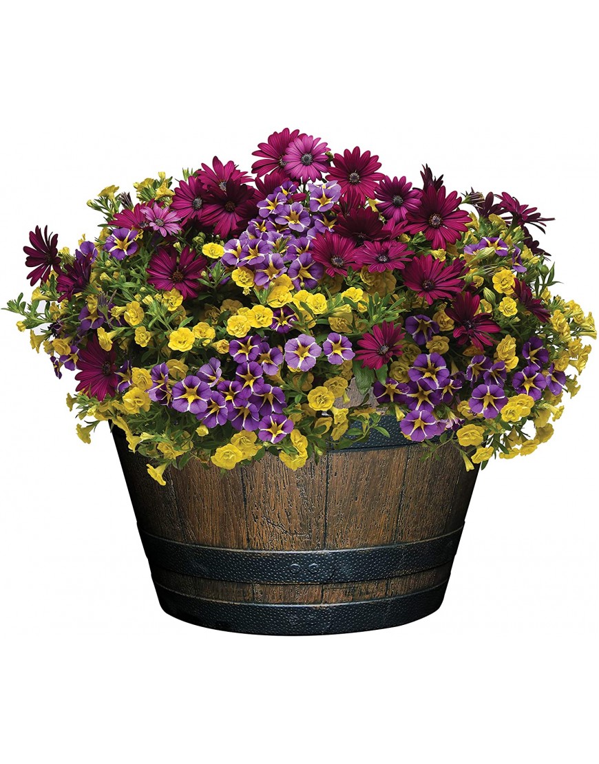 Classic Home and Garden S1027D-037Rnew Whiskey Barrel Planter 20.5 Kentucky Walnut