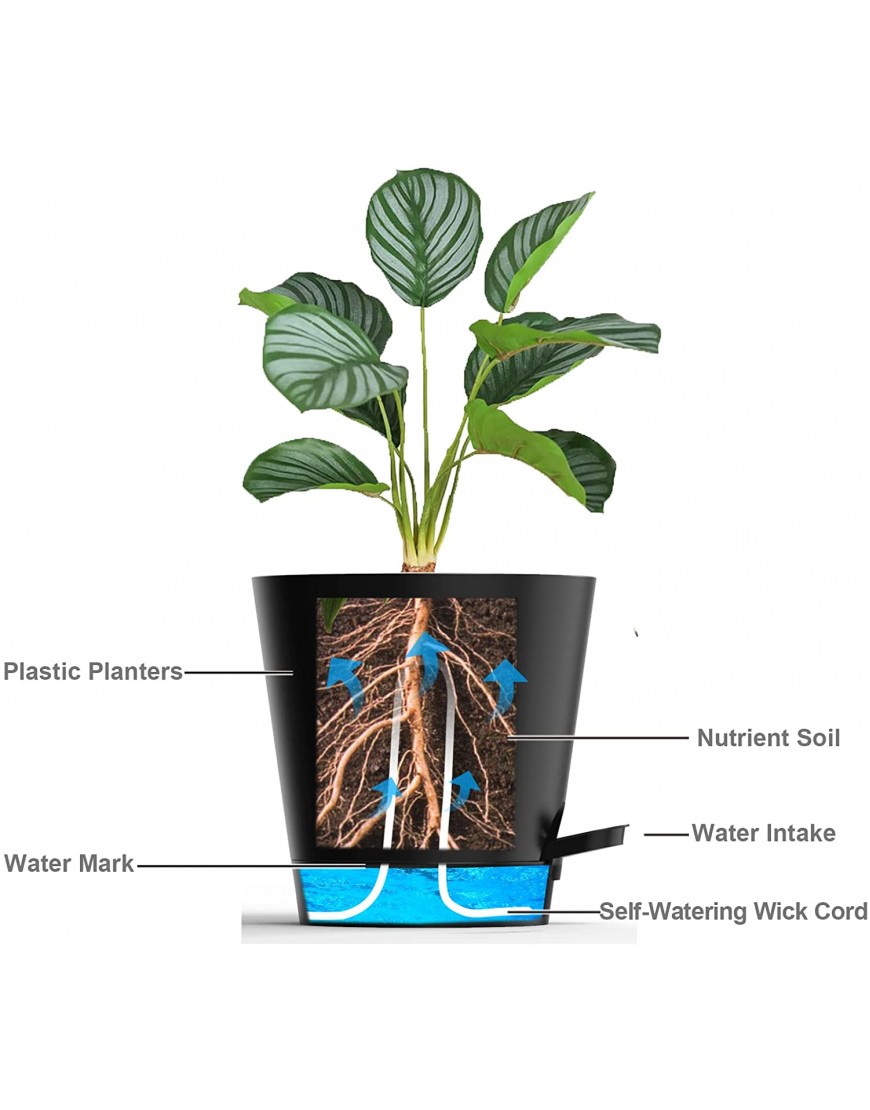 Plastic Plant Pots 5 Pack 6 inch Self Watering Pots for Indoor Plants with High Drainage Holes Deep Reservoir Tray and Self Water Wrick Rope for All House Plants Flower Black