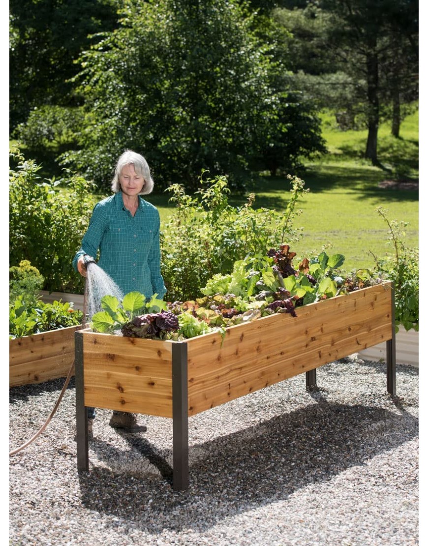 Raised Garden Bed Elevated Cypress Planter Box 2' x 8' Standing Garden Allows 16 Square Feet of Growing Space Perfect for Deck Patio or Backyard
