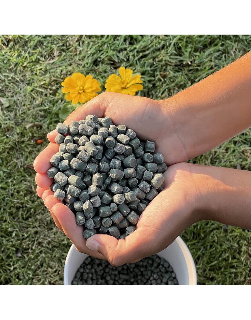 Smart Gravel | Eco-Friendly Plant Drainage for Healthy Roots | Small Pots & Decoration | for Cactus Succulents Orchids | Lightweight & Clean 0.5 Cu FT Mini Size