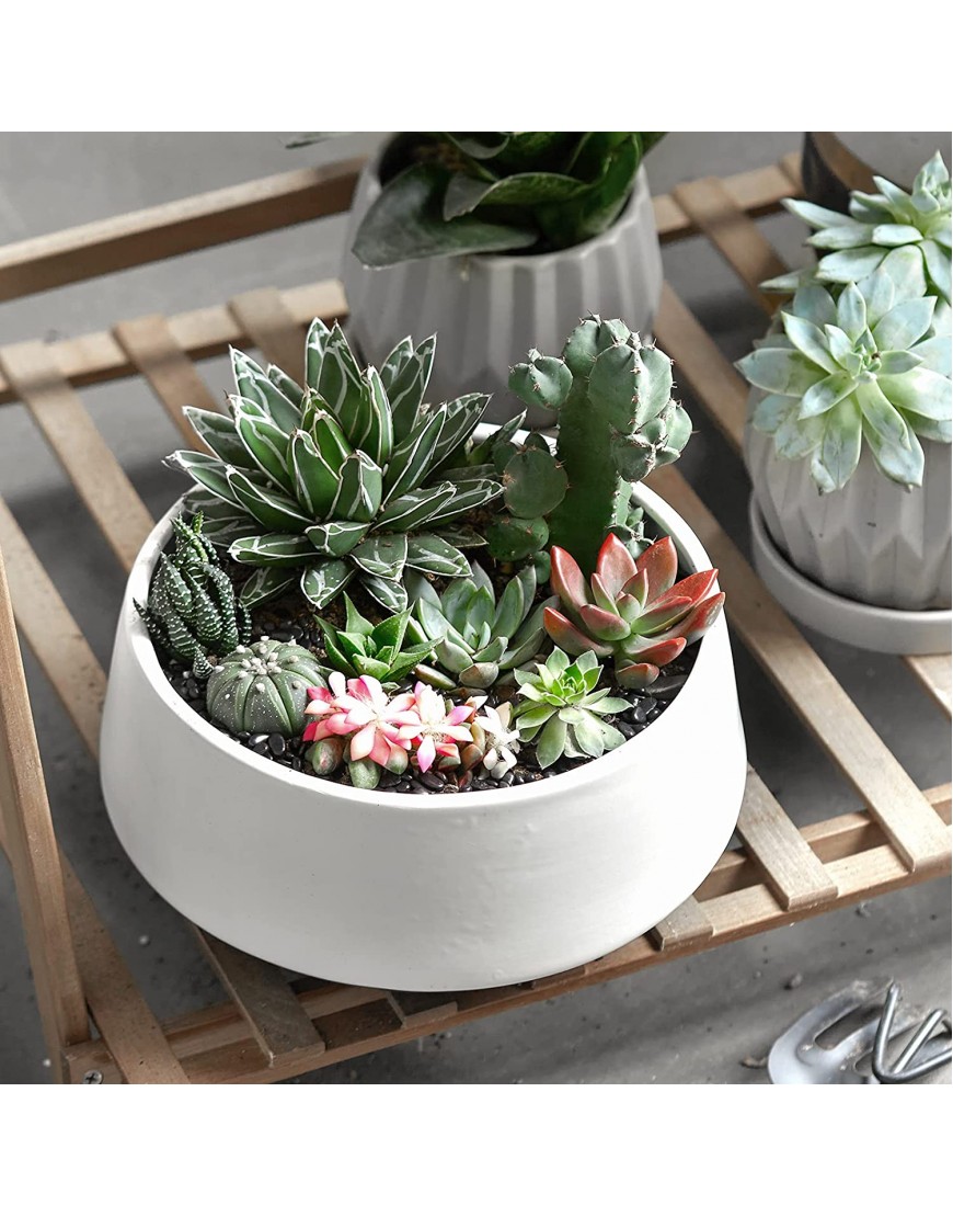 ZONESUM Large Succulent Planter 8.5 Inches Plant Pots with Drainage Hole Ceramic Flower Planter Pot for Cactus Orchid Snake Plants Small Christmas Tree Christmas Decorations or Gifts