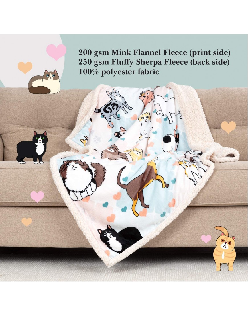 Cat Blanket 28 Cute Cat Companions on a Sumptuously Soft Lightweight 50x60 Inch Cat Lover Throw Blanket The Most Beloved Cat Gifts for Cat Lovers Everywhere