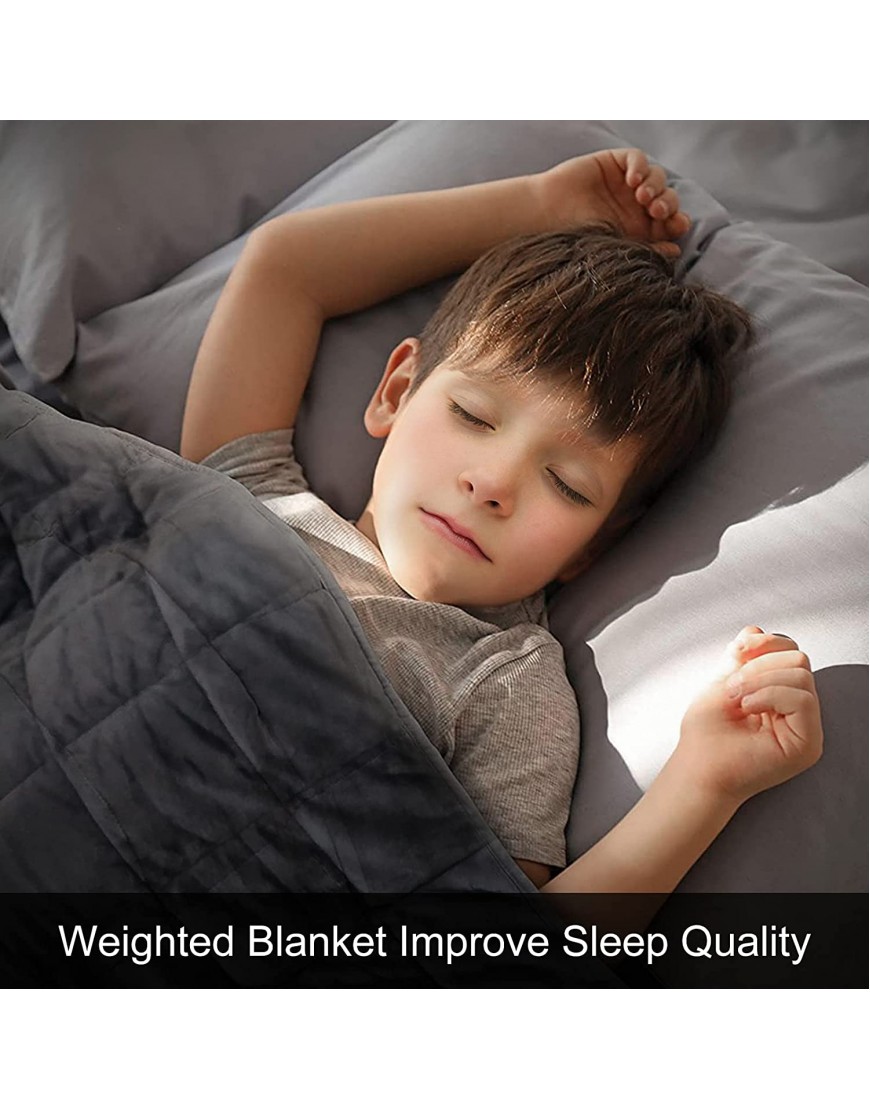 Weighted Blanket for Kids Adult Travel Weighted Lap Pad 100% Polyester Microfiber with Glass Beads Breathable Throw Blanket for Sofa