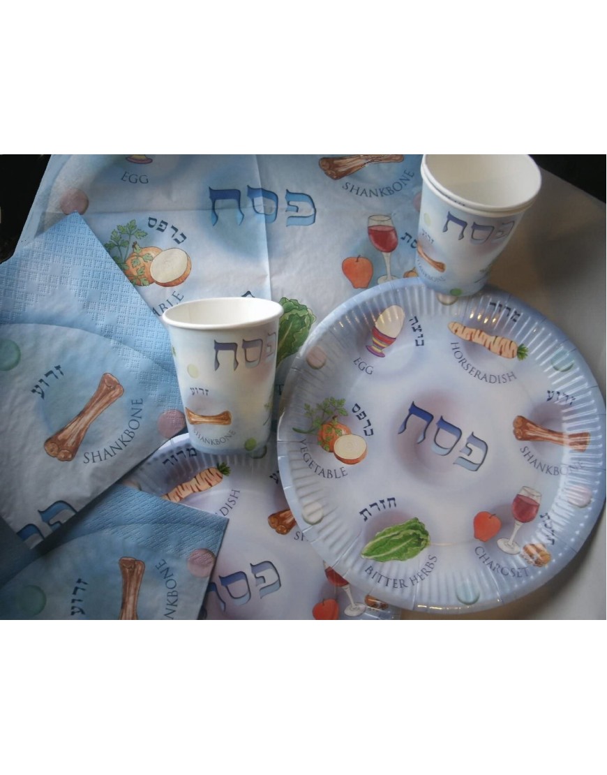 Paper Seder plates for Passover 25 Pack 9 Inch Disposable Pesach plate for kids.