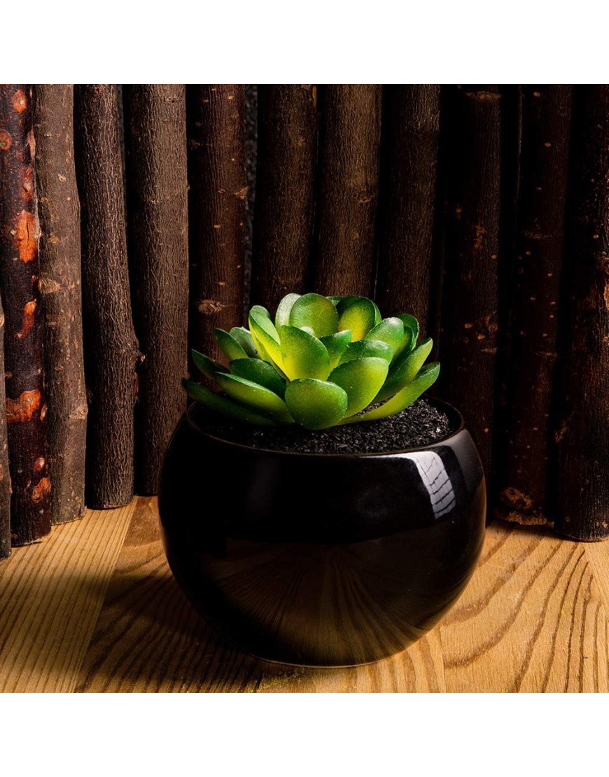 24 Pack Mini Artificial Succulent Plants Unpotted : Fake Succulents Picks Realistic Plastic Cactus Stems for Terrarium Bulk Small Faux Assorted Arrangements Flocked Greenery