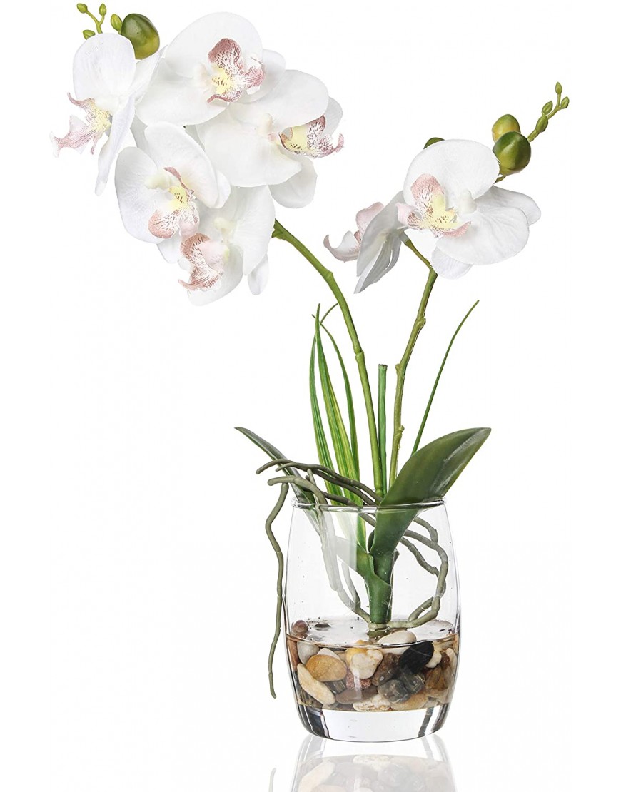 Jusdreen Artificial Flower Bonsai with Glass Vase Vivid Orchid Flowers Arrangement Phalaenopsis Flowers Pot for Home Office Décor House DecorationsGlass Vase White Orchid