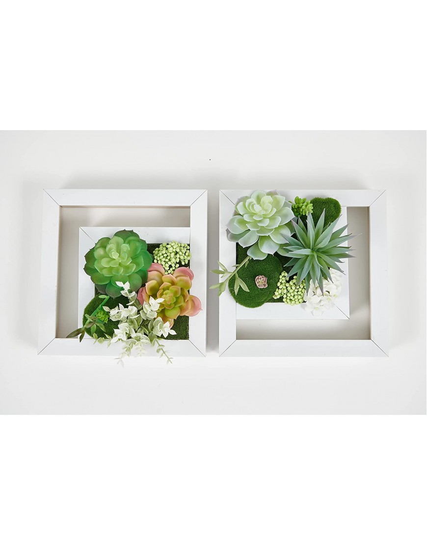 Room & Bloom Artificial Succulent Wall Art Flower Decor Kitchen Decorations Lounge Room Dining Room Picture 3D Living Room Floral Framed Fake Faux Hanging Succulents House Decor Green Hanger 10 x 10