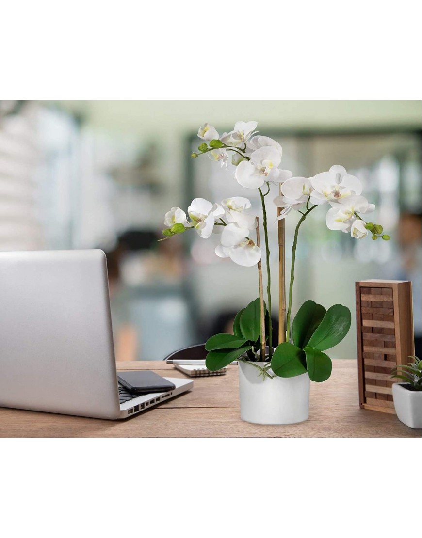 Serene Spaces Living 3 White Realistic Phalaenopsis Orchids in Pot Artificial Potted Flowers Beautiful Entryway Vase Foyer Table Décor Measures 26 Tall & 5 Diameter