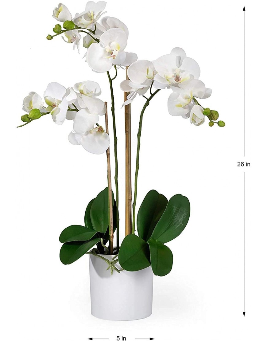 Serene Spaces Living 3 White Realistic Phalaenopsis Orchids in Pot Artificial Potted Flowers Beautiful Entryway Vase Foyer Table Décor Measures 26 Tall & 5 Diameter
