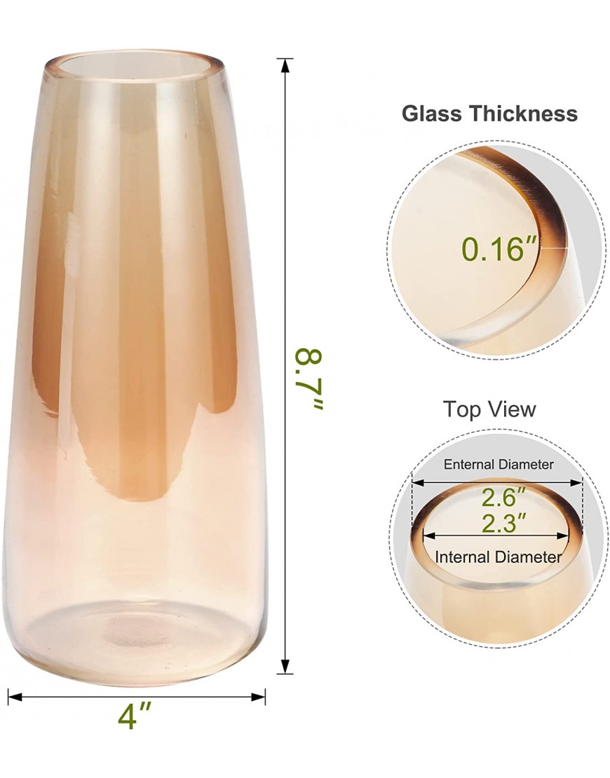 BIGIVACA 8.7 Inch Tall Glass Vases for Centerpieces,1 Pack Modern Amber Glass Vase,Large Flower Vases for Living Room,Home Decor,Wedding Centerpieces,Office.