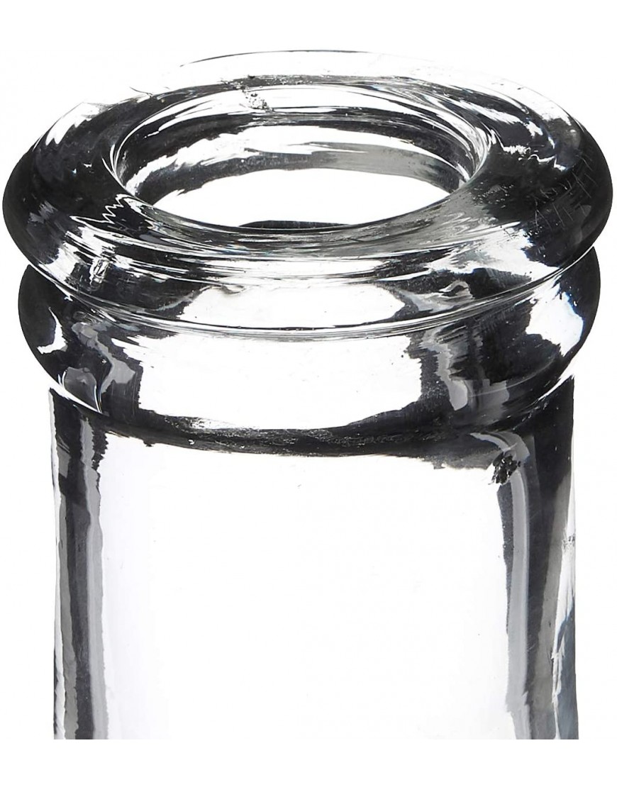 Creative Co-Op Decorative Glass Bottle Vase 18 Inch Clear