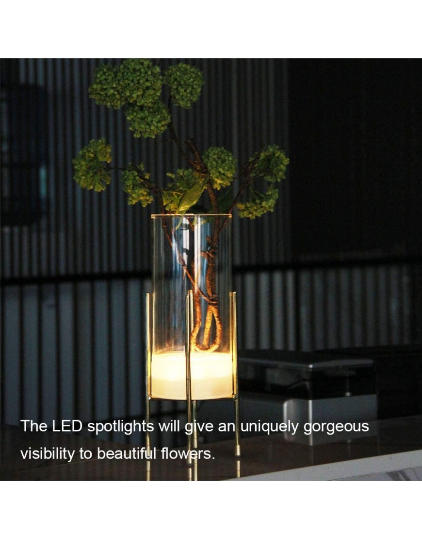 Flower Vase for Decor Glass Table Vase Set Clear Vase with Gold Stand Modern Decorative with Timer LED Lights Battery Operated Centerpiece Wedding Party Set of 2