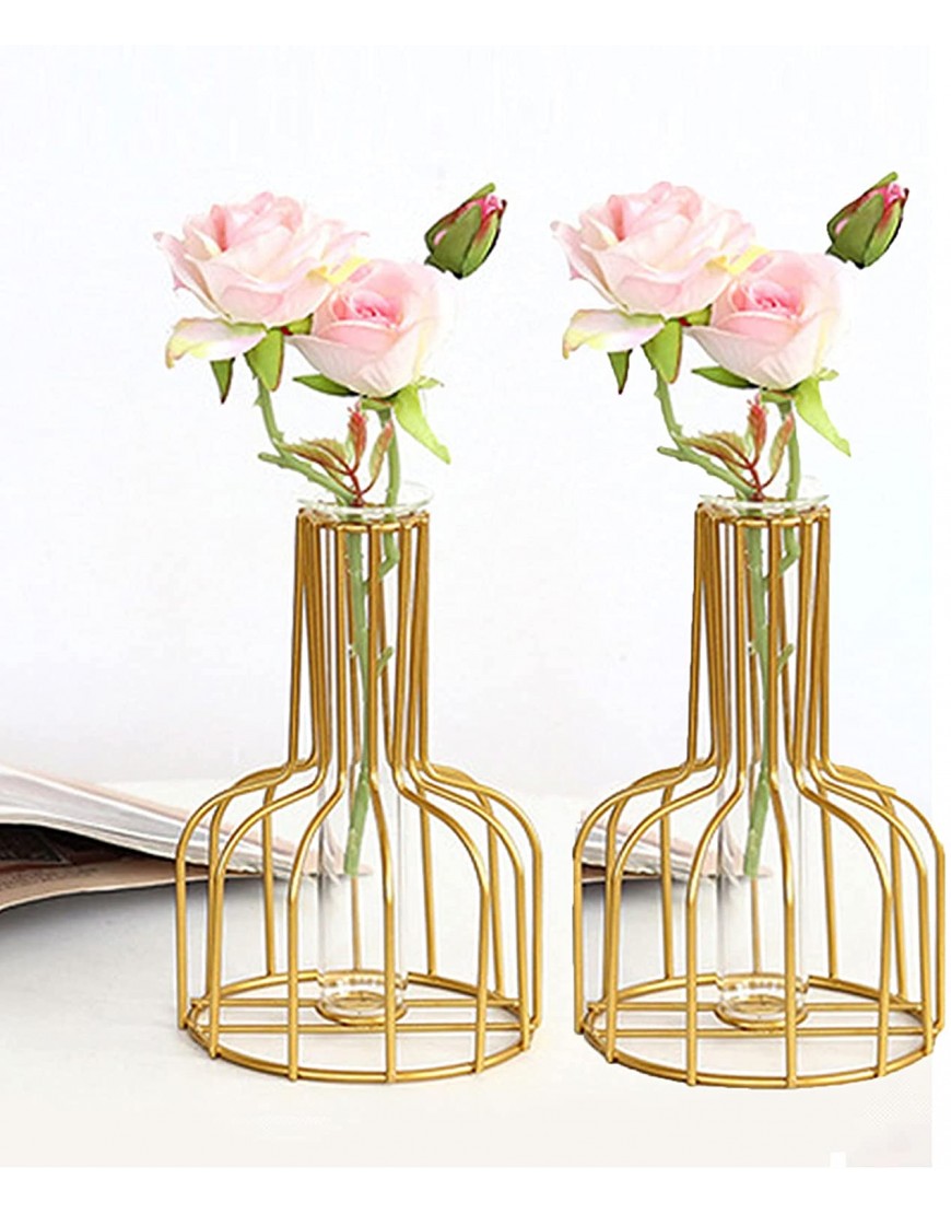 Flower Vases with Iron Art Frame Metal Flower Vase Test Tube Vase Iron Art Flower Vase Clear Vase Decorative for Living Room Wedding Holiday Party
