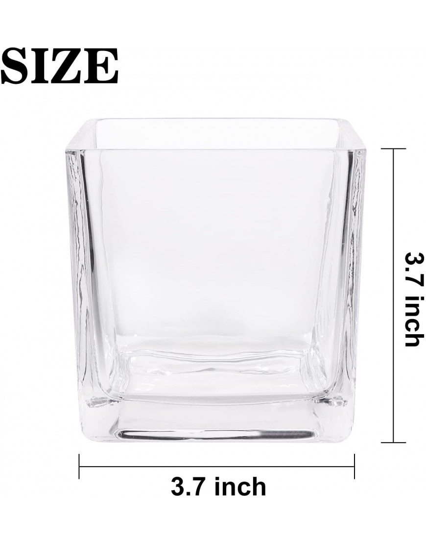 HWASHIN Set of 6 Glass Cube Vases 4 x 4 Inch Clear Square Flower Vases with Sponge Brush Candle Holders Decorative Centerpieces for Home Events or Weddings