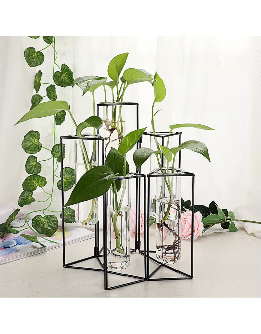 JuxYes 5 PCS Nordic Style Test Tube Vase with Metal Stand Hydroponics Clear Planter Metal Glass Vase Hinged Art Vase Plant Holder Flower Vase for Modern Home Office Decor