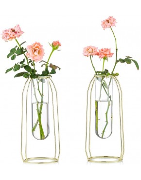 NUPTIO 2 Pcs Flower Vases with Iron Art Frame 23.5cm Height Geometric Plant Pot Centerpiece Plant Vase Plants Tabletop Display Holder for Wedding Indoor Table Office Living Room Decor Gold