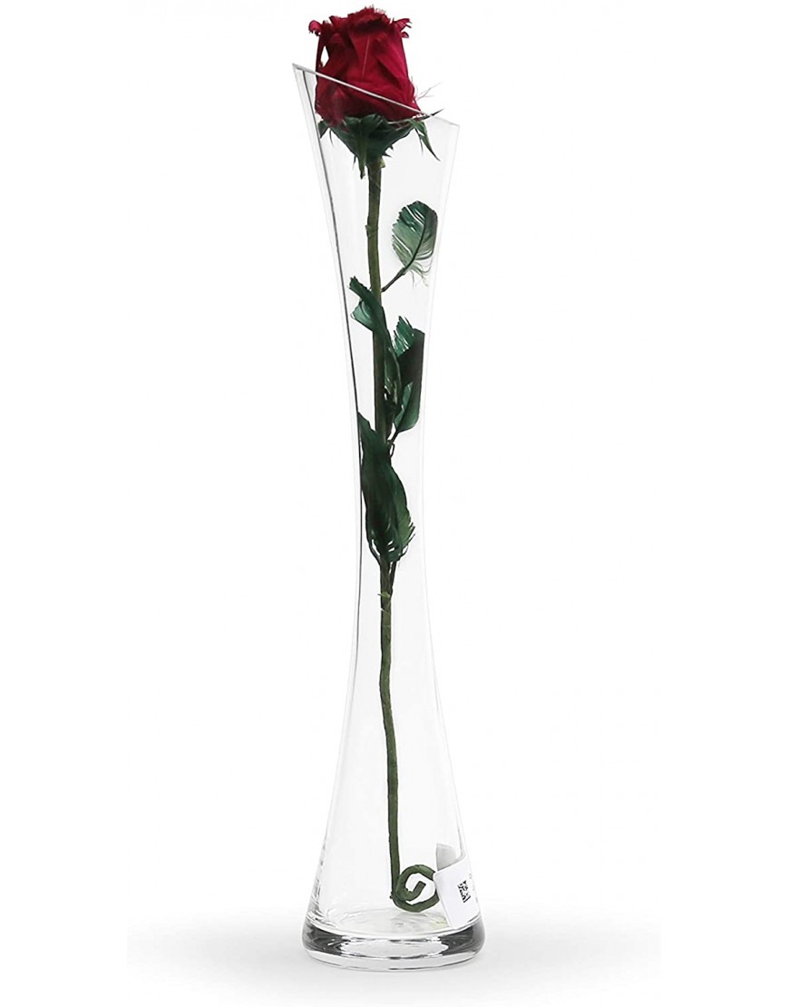 WGV Maria Bud Vase Width 3 Height 15.75 Clear Tall Slant Cut Opening Gathering Concaved Glass Floral Container Centerpiece for Wedding Party Event Home Office Decor 1 Piece