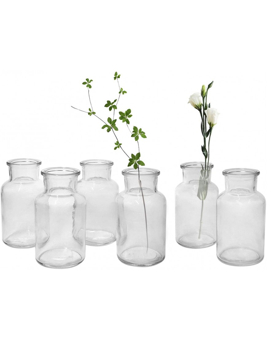 YNB.BEAUSEL Glass Vases Set of 6 Bud Vase Clear Small Glass Flower Vases Decorative Glass Bottles Vintage Medicine Bottles for Wedding Reception Home Decor Wide Neck