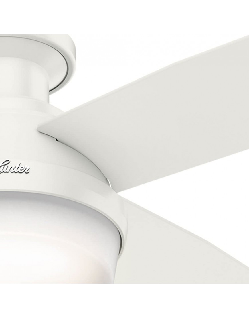 Hunter Fan Company 59242 Hunter 52 Dempsey Indoor Low Profile Ceiling Fan with Light Fresh White Finish